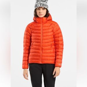 Arc’teryx power- down hoodie